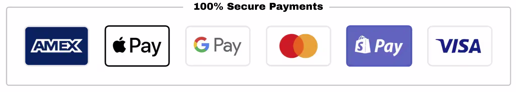 100% Safe Payments